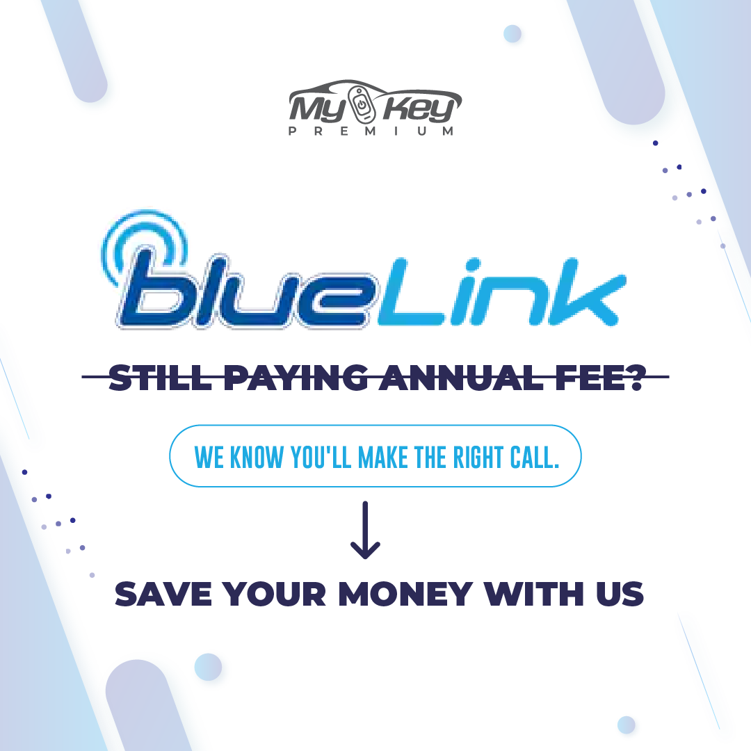 bluelink annual subscription